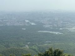 -紫金山山顶公园