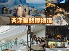 -天津自然博物馆