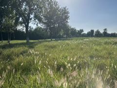 -汉长安城未央宫国家考古遗址公园