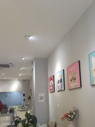 -洗脸猫·洗脸吧