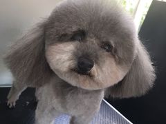 -北京恒爱动物医院(清景园分院)