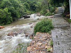 -广州白江湖森林公园