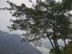 -铁山坪森林公园