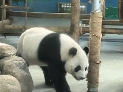-柳州市动物园