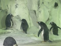 -南昌海洋公园