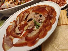 -小桃红·东北菜·春饼烤鸭(南阳湖街店)