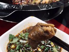 特色肥肠-烧哥美蛙肥肠鱼火锅·十五年社区店
