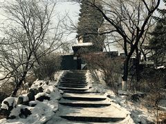 -高尔山公园