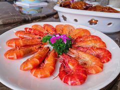 白灼九节虾-蚝专家(北滘店)