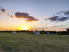 -春花秋色城市公园