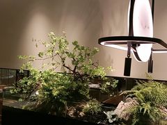 -绿茶餐厅(淮安区万达广场店)