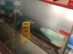 -花千代秘制烤鱼(曼哈顿店)