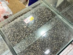 -刘艳明炒货(小心桥店)