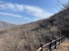 -北京西山国家森林公园