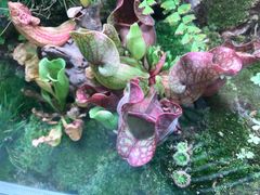 -UCCA Kids 儿童美育