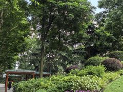 -静安公园(静安寺街道)