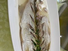 -大鸿运酒店·苏州菜·松鼠桂鱼(观前街店)
