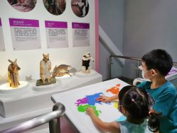 点击看大图 -北京科学中心儿童乐园