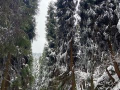 -太阳湾风景区