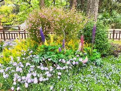 -昆明市金殿名胜区