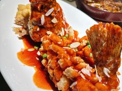 -吴越荣记·苏州菜·松鼠桂鱼(斜塘老街店)