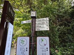 -珠海圆明新园