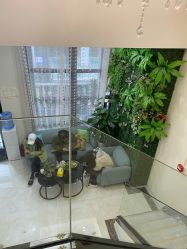 -苗医生草本科技祛痘