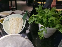 -捞王猪肚鸡火锅(财富中心店)