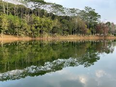 -凤岗南门山森林公园