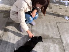 -六鼎山文化旅游区
