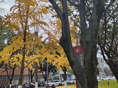 -四川大学(望江校区)