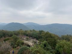 -南京老山国家森林公园