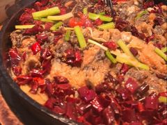 -老板恋上鱼(印象城店)