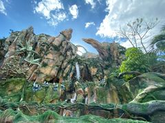 -奥兰多迪士尼动物王国乐园