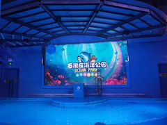 -石家庄海洋公园
