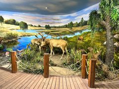 -北京麋鹿生态实验中心