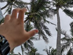 -GO! Nha Trang
