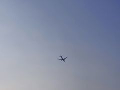 -春花秋色城市公园