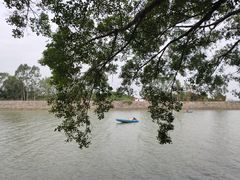 -大湾区中央湿地公园