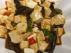 -素虎小呆鸟(西二旗店)