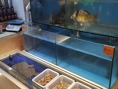 -九转小磨·东北菜老字号(祥安店)