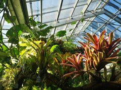 -国家植物园南园