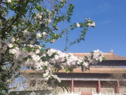 点击看大图 -美云庭古装·格格服汉服·京城旅拍(北京店)