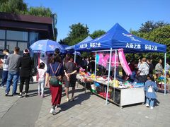 -西安汉城湖景区