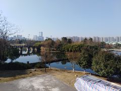 -洋湖国家湿地公园