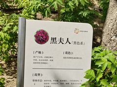 -太阳宫公园