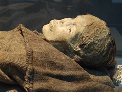 -巴音郭楞蒙古自治州博物馆