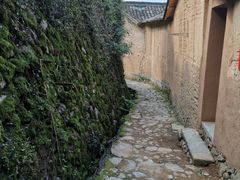 -杨家堂村
