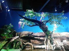-沙沙哗啦海洋馆(华宇百花谷店)