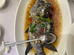 -骏莱海鲜鱼港(五角场店)